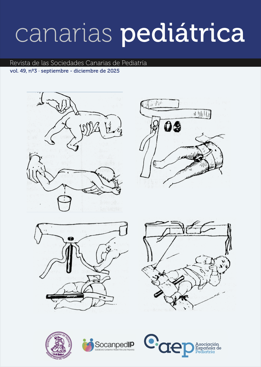 Captura de pantalla 2026-01-12 a las 12.22.44 Vol. 49, nº 3 SEP-DIC 2025